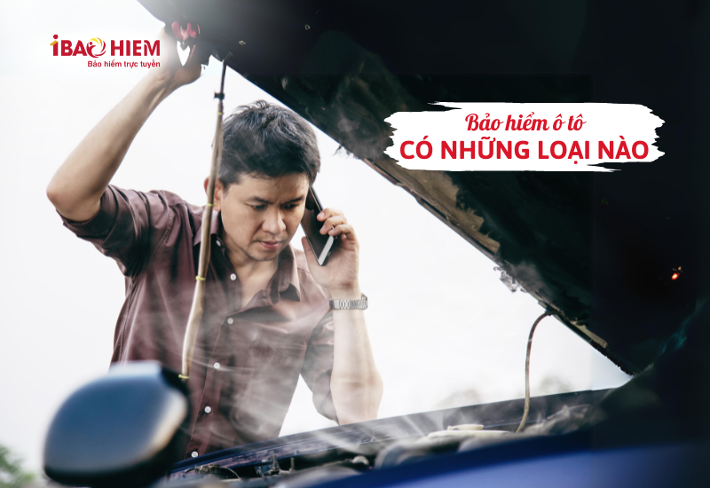 Bảo hiểm ô tô có những loại nào