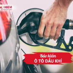 Bảo hiểm ô tô Dầu Khí 