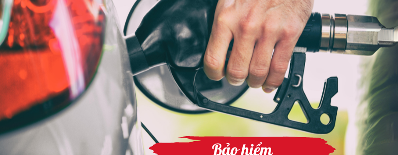 Bảo hiểm ô tô Dầu khí