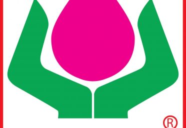 Minh họa bảo hiểm Bảo Minh Minh họa bảo hiểm Bảo Minh