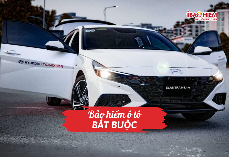 Bảo hiểm ô tô bắt buộc