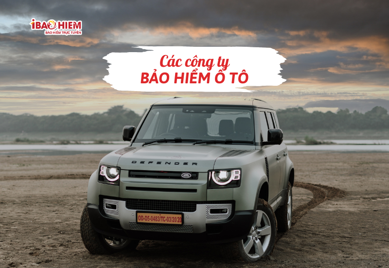 Các công ty bảo hiểm ô tô