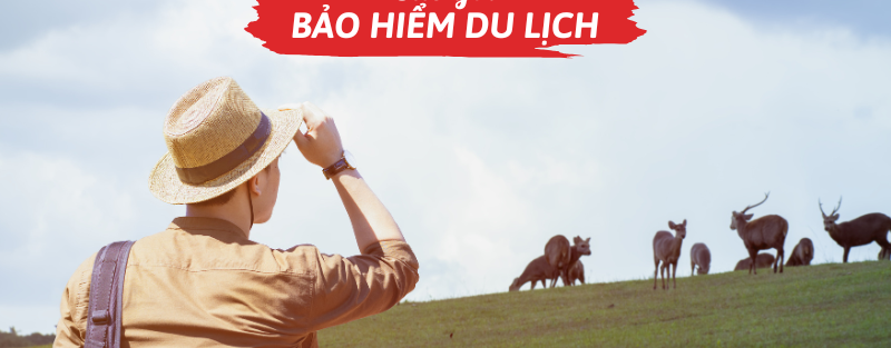 Các gói bảo hiểm du lịch