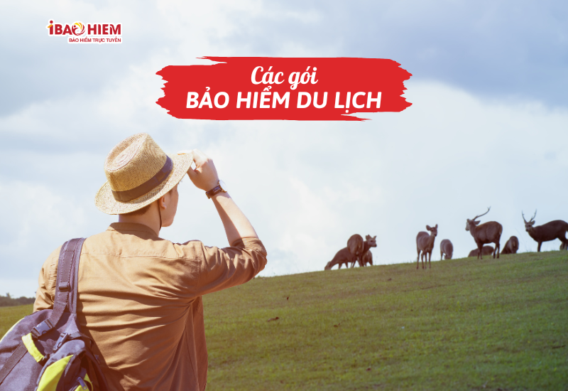 Các gói bảo hiểm du lịch