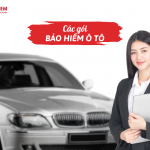 Các gói bảo hiểm ô tô 