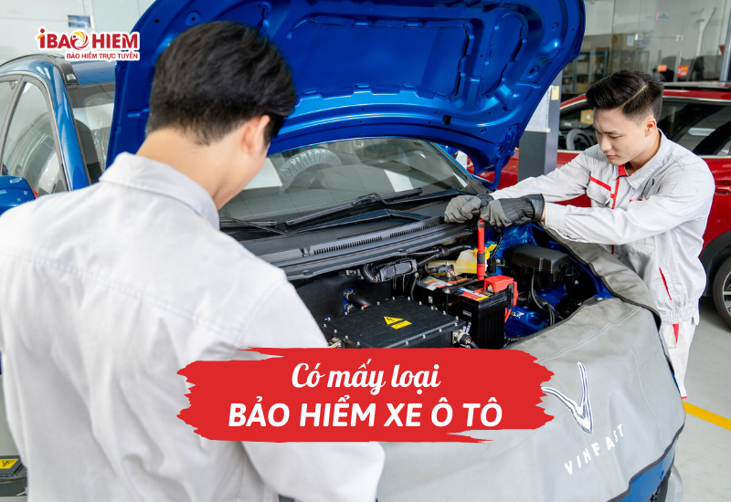 Có mấy loại bảo hiểm xe ô tô